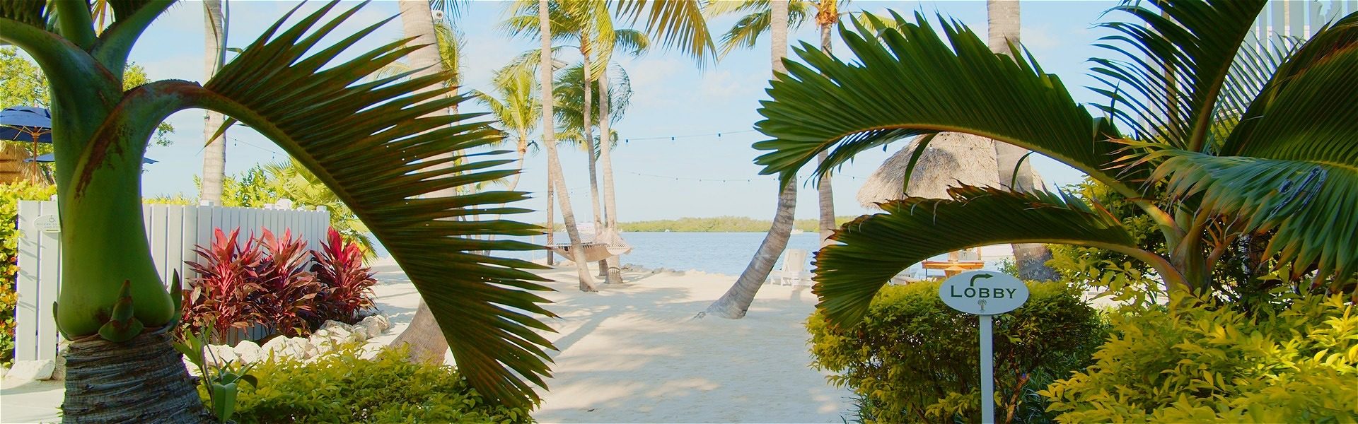 peek at the beach at coconut palm inn